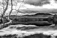 3153 BW Mt. Chocorua Late Fall - Tamworth, NH