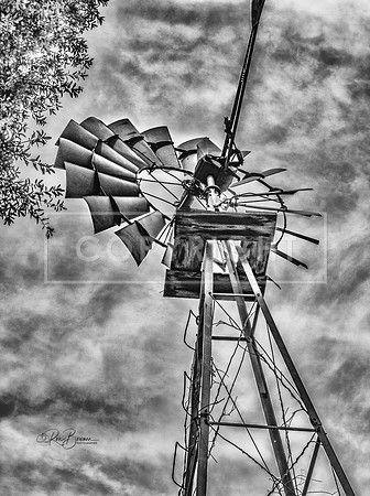 Florida 0045 BW - Pioneer Florida Museum - Dade City, FL