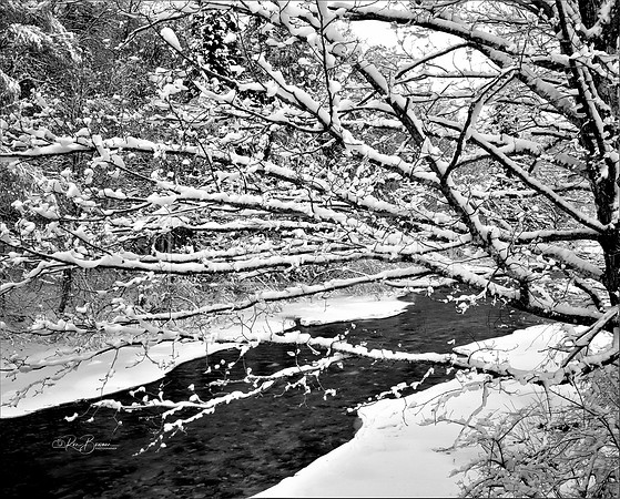 0010 BW Winter on the Ammonoosuc - Twin Mt. NH