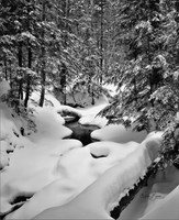 0017 BW  Winter Stream - The Basin - Franconia Notch, NH