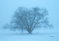 3067 Silent Sentinel - Franklin, NH