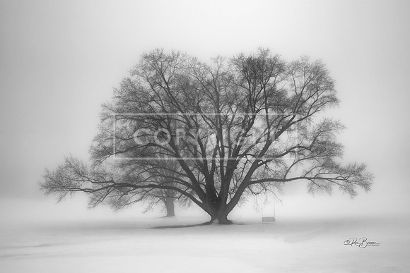 3067 BW Silent Sentinel - Franklin, NH