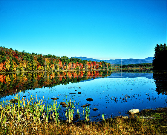 0013 Berry Pond - Moultonborough, NH