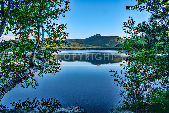 0775-Mt. Chocorua - Tamworth, NH