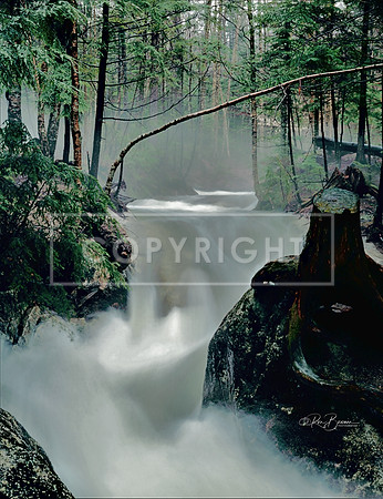 0426 Misty Morning Waterfall, The Basin - Franconia Notch, NH