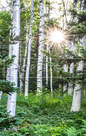 0982 Birch Sunrise - Gorham, NH
