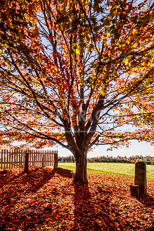 2058 - Canterbury Shaker Village - NH