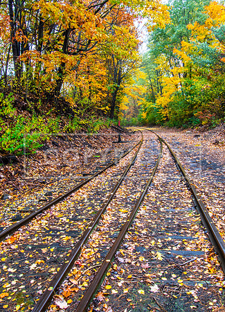1320 Fall Train Tracks - Northfield, NH