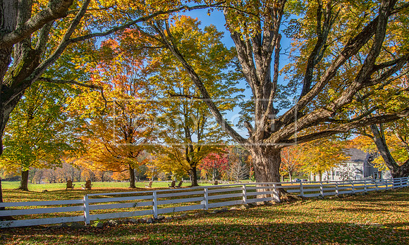 2061  Canterbury Shaker Village, Canterbury, NH
